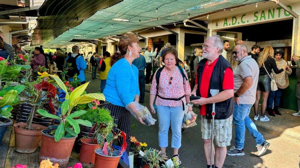 Half-Day Country Market Tour on Madeira Island - Price vs value: what $29 buys you in real time