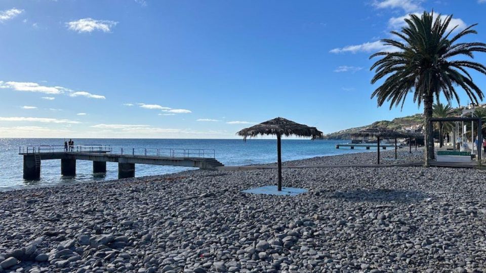 Half-Day Country Market Tour on Madeira Island - Weather, warm layers, and simple tips that make it smoother