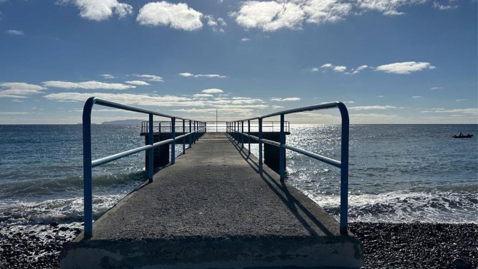 Half-Day Country Market Tour on Madeira Island - Pickup, drive time, and what to expect on Madeira roads
