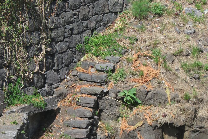 Half day jeep Wine tour and tasting, & sea cliff adventure - São Vicente and the pass-through approach of a half day