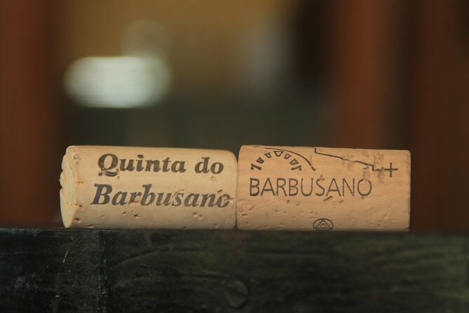 Half day jeep Wine tour and tasting, & sea cliff adventure - Quinta do Barbusano wine tasting add-on: what the €24 experience is built for