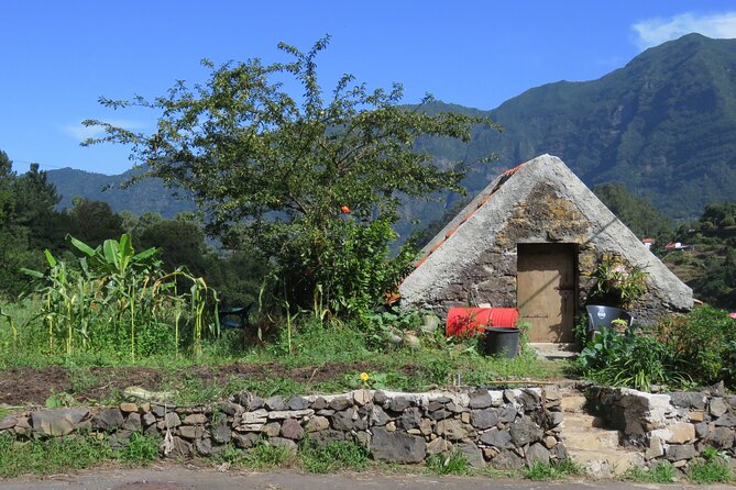 Half day jeep Wine tour and tasting, & sea cliff adventure - Price and logistics: how to calculate the real total before you book