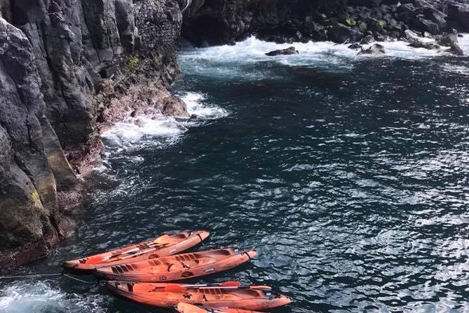 Half day kayak tours - Why Kayak the Garajau Coast Feels Different Than Land Views