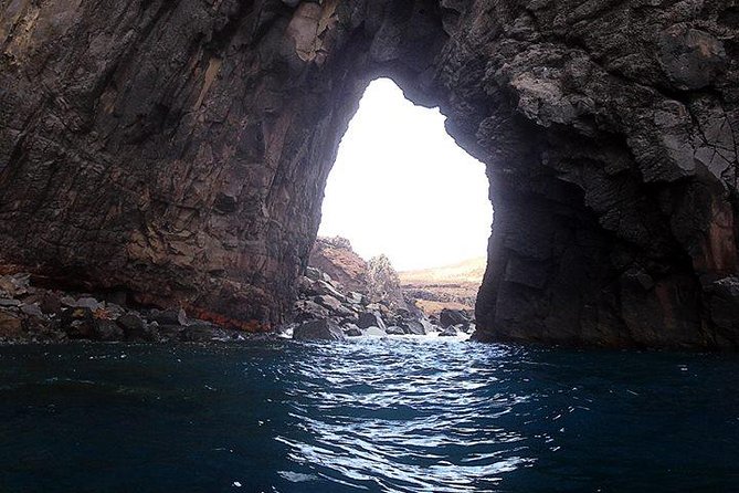 Half day kayak tours - Price and Value: Is $43.25 for 3 Hours a Fair Deal?