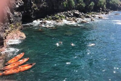 Half day kayak tours - The 3-Hour Structure: Paddle, Pause, Snorkel, Finish