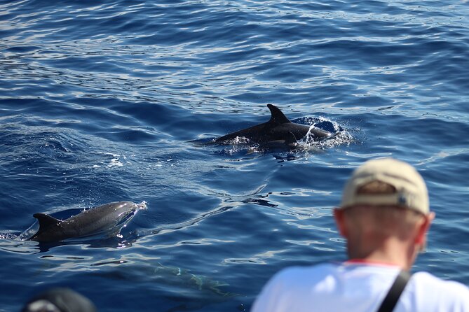 Half Day Madeira Island Cruise with Lunch - When a 5-hour boat trip is the perfect Madeira plan