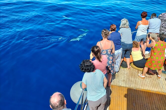 Half Day Madeira Island Cruise with Lunch - The Calhau da Lapa swim stop: why this half day includes water time