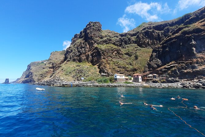 Half Day Madeira Island Cruise with Lunch - Wildlife sightings: dolphins, turtles, and whale spouts