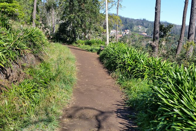 Half-Day Paradise Valley Walking Tour - Why Paradise Valley Works So Well for a Madeira Half-Day