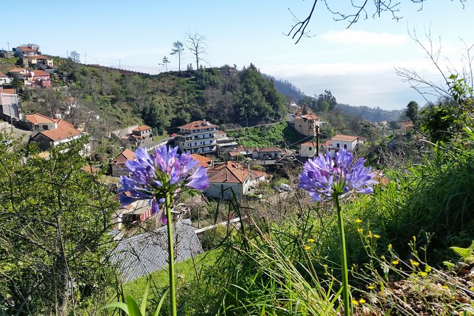 Half-Day Paradise Valley Walking Tour - What’s Included: Staff, Vehicle, and the Real Meaning of Included Extras