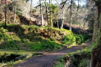 Half-Day Paradise Valley Walking Tour - The Easy Walk From Vale do Paraíso to Rochão