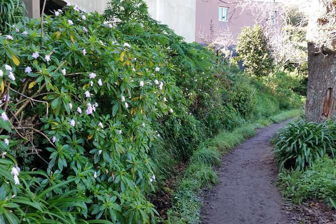 Half-Day Paradise Valley Walking Tour - Pace, Comfort, and the Small-Group Factor (Max 18)