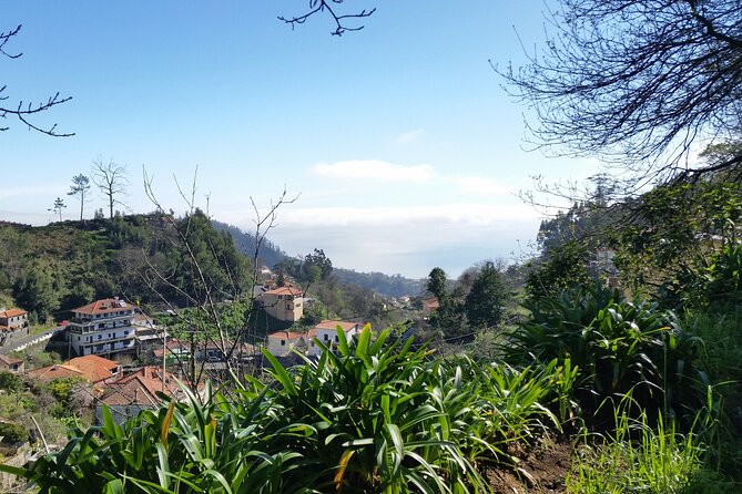 Half-Day Paradise Valley Walking Tour - Weather Rules and Free Cancellation: Planning Without the Panic