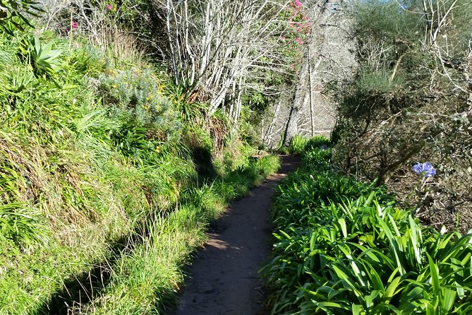Half-Day Paradise Valley Walking Tour - Who Should Book This Paradise Valley Walking Tour