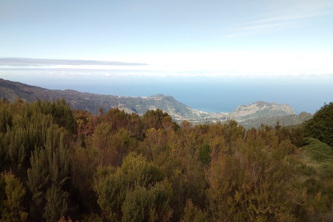 Half-Day Private Sidecar Tour on Madeira’s West Coast - Timing and Flexibility: How Long It Takes