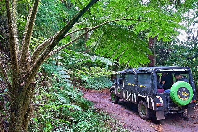 Half-Day Small-Group Madeira Village Safari from Funchal - Why This 3-Hour Madeira Safari Fits Real Vacation Time