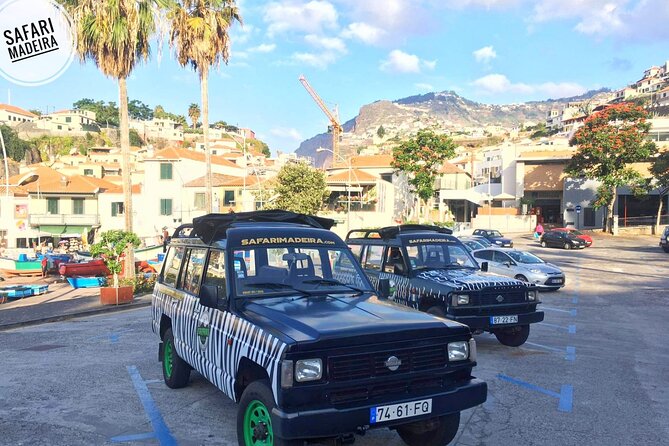 Half-Day Small-Group Madeira Village Safari from Funchal - The Open-Top Safari Ride: What You Should Expect (and What Might Surprise You)