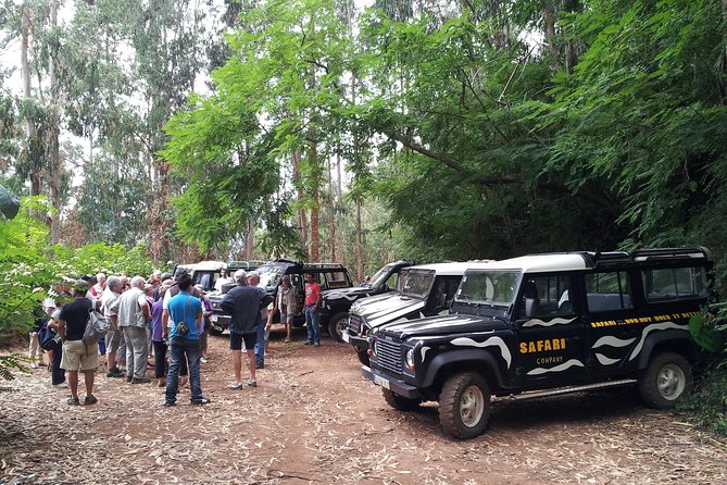 Half-Day Small-Group Madeira Village Safari from Funchal - Timing, Weather, and Comfort Tips That Make the Day Easier