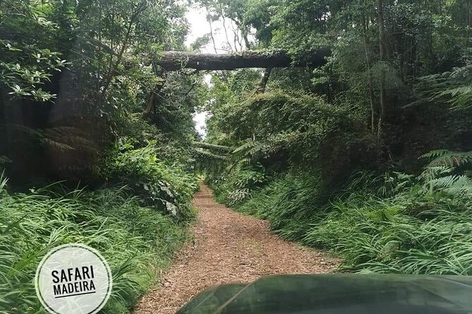 Half-Day Small-Group Madeira Village Safari from Funchal - Cabo Girão: The 600-Meter-High Skywalk Factor (Extra Ticket Cost Included)