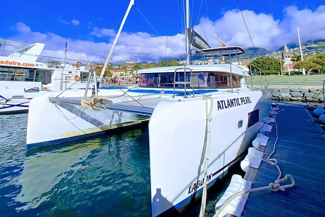 Half Day Tour on a Luxury Catamaran on Madeira Island - A 3-hour catamaran run from Funchal with cetaceans in the mix