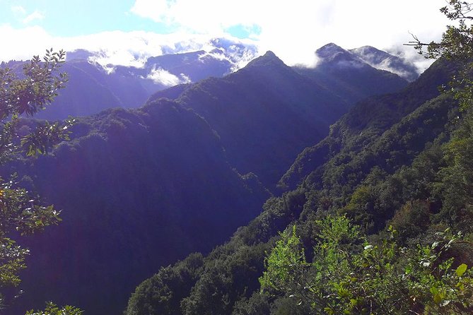Hidden Corners: Levada Walk from Funchal - From Funchal pickup to the Levada Do Rei trail