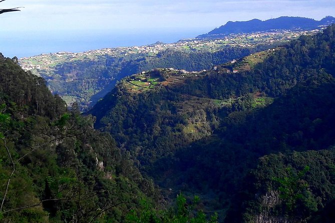 Hidden Corners: Levada Walk from Funchal - Levada Do Rei: the valley feel and plant focus