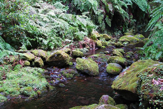 Hidden Corners: Levada Walk from Funchal - The waterfall moment where you can step behind