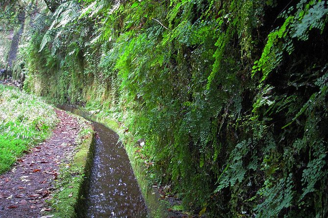Hidden Corners: Levada Walk from Funchal - Gear and food: how to prepare for a full 8 hours