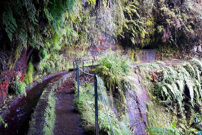 Hidden Corners: Levada Walk from Funchal - Pickup, group size, and how the tour feels in real time