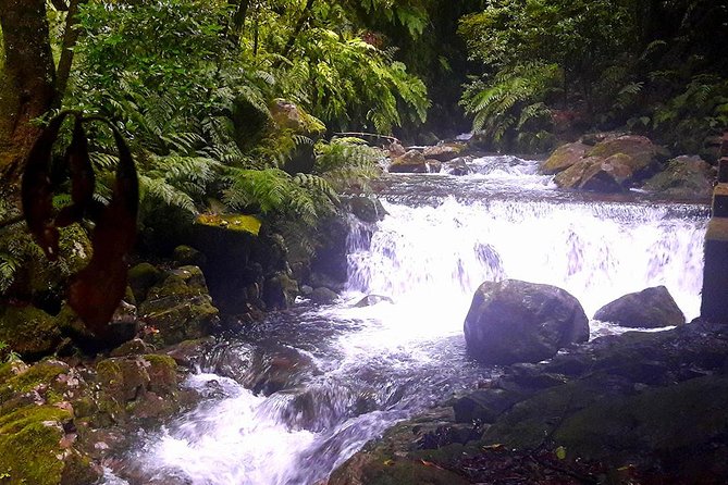Hidden Corners: Levada Walk from Funchal - Price and value: is $51.61 actually a fair deal?