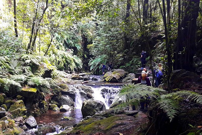 Hidden Corners: Levada Walk from Funchal - Why Madeira’s levadas are the point (not just scenery)
