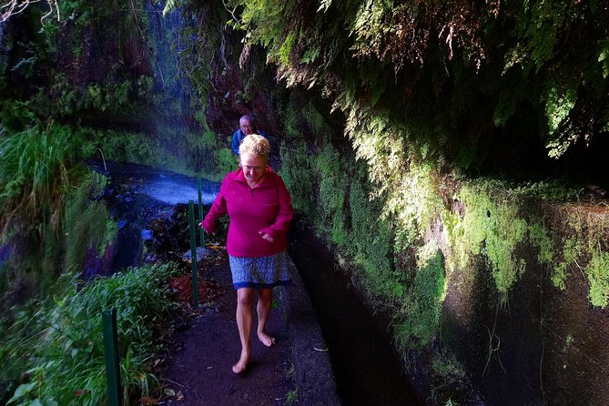 Hike in Laurisilva Levada do Rei - Madre of Life small Group guided walk - Key highlights at a glance