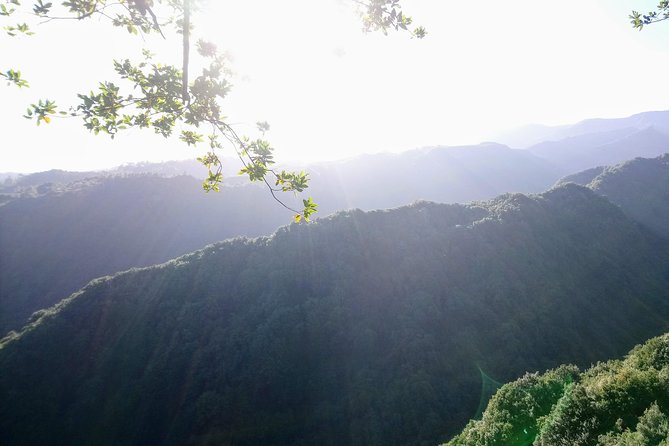 Hike in Laurisilva Levada do Rei - Madre of Life small Group guided walk - Your day timeline: pickup, the 4-hour levada stretch, then back to town