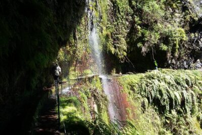 Hike in Laurisilva Levada do Rei - Madre of Life small Group guided walk - Small-group hiking with a real mountain guide (not just a driver with a mic)