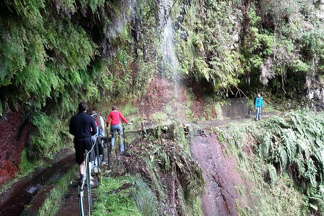 Hike in Laurisilva Levada do Rei - Madre of Life small Group guided walk - Pickup and transfers in Funchal and Caniço: why it’s worth paying for convenience