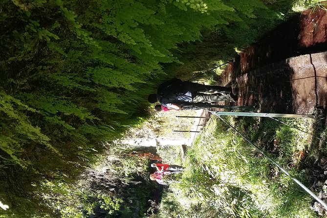 Hike in Laurisilva Levada do Rei - Madre of Life small Group guided walk - Price and value: what $60 covers—and the €3 tax you should plan for