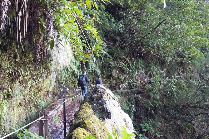 Hike in Laurisilva Levada do Rei - Madre of Life small Group guided walk - What to bring (and how to handle weather that won’t ask permission)