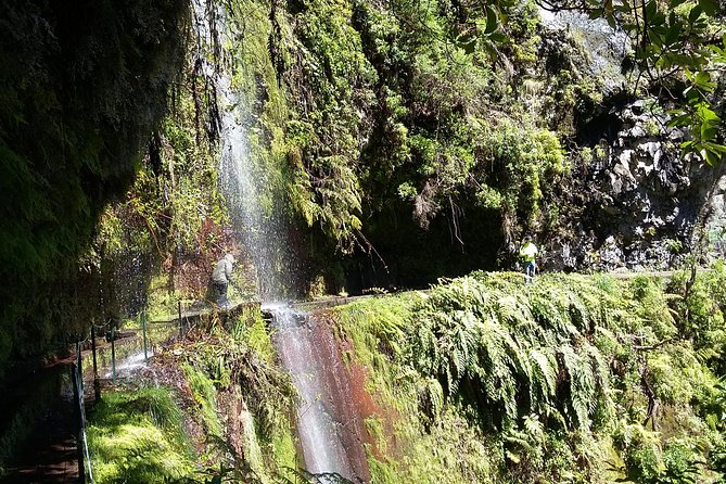 Hike in Laurisilva Levada do Rei - Madre of Life small Group guided walk - Who this Levada do Rei hike is best for (and who should rethink it)