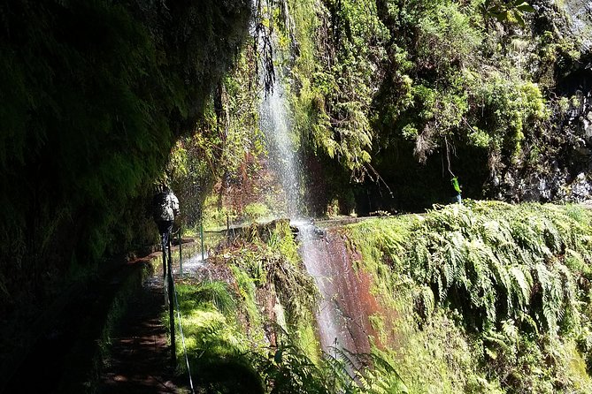 Hike in Laurisilva Levada do Rei - Madre of Life small Group guided walk - Small-group hiking with a real mountain guide (not just a driver with a mic)