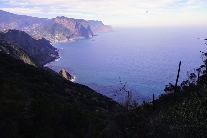 Hike Larano, Boca do Risco Porto da Cruz Levada in a small group - Price and value: $95.12 with pickup and a certified guide