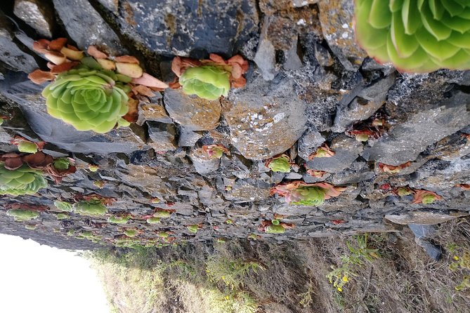 Hike Larano, Boca do Risco Porto da Cruz Levada in a small group - Who this hike suits best (and who should choose a different day)