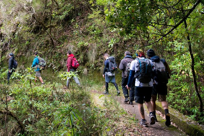 Hiking and Trekking tours in Madeira - Key highlights in plain terms