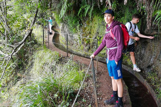 Hiking and Trekking tours in Madeira - Price and value: what $120 buys you in a full 7-hour outing