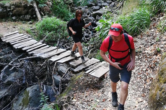 Hiking and Trekking tours in Madeira - The 7-hour plan: from pickup to a levada trail hike
