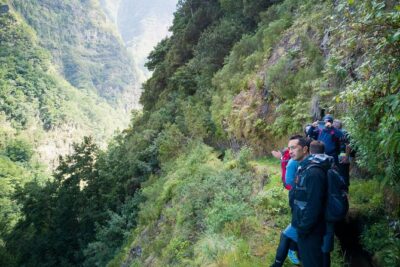 Hiking and Trekking tours in Madeira - Meeting point in Funchal: pickup that keeps your morning simple