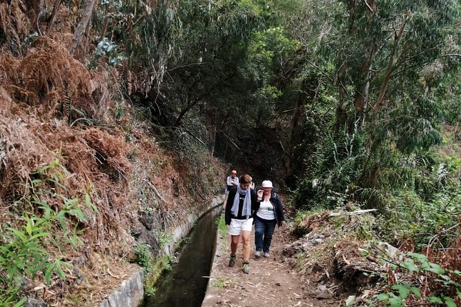 Hiking and Trekking tours in Madeira - What you’ll see: endemic plants, wildlife, and volcanic scenery