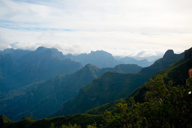 Hiking and Trekking tours in Madeira - Small-group hiking with Jorge: why the guide matters here