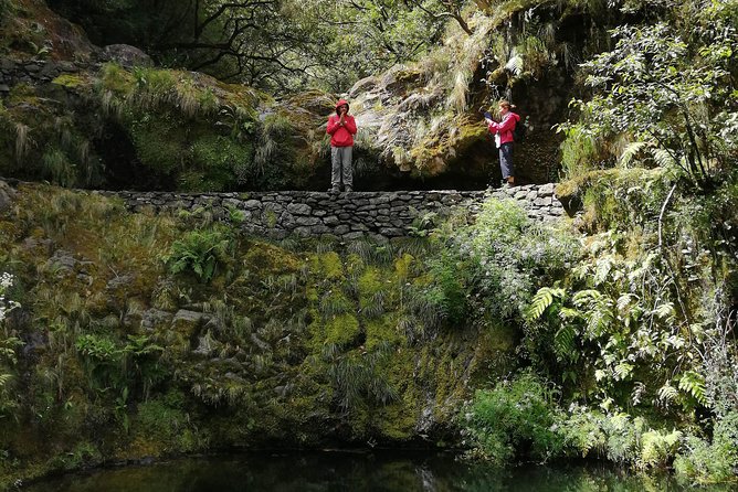 Hiking and Trekking tours in Madeira - Comfort and pace: what to consider before you book