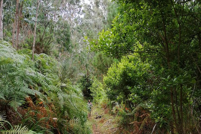 Hiking and Trekking tours in Madeira - What to pack: the simple checklist that keeps you happy
