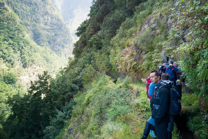 Hiking and Trekking tours in Madeira - Meeting point in Funchal: pickup that keeps your morning simple
